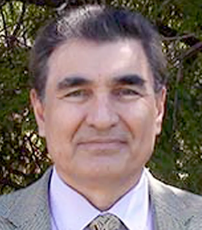 Mehmet Toy